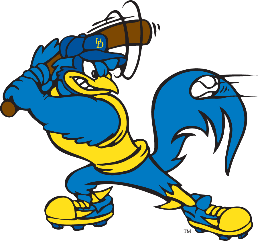 Delaware Blue Hens 1999-2009 Mascot Logo v6 iron on transfers for clothing